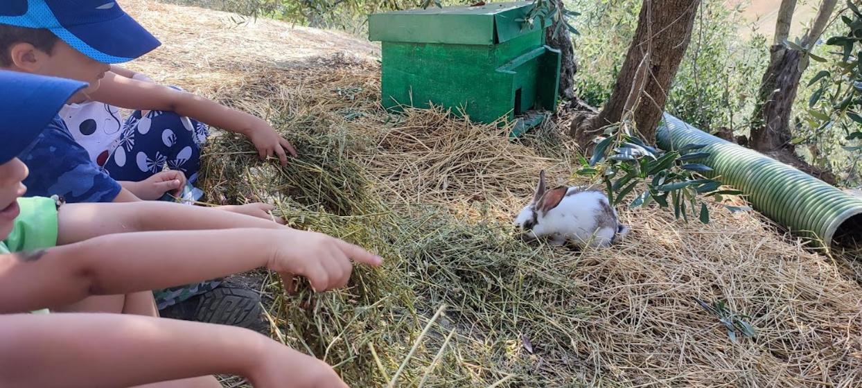Agriturismo Biofattoria L'Upupa Montalcino Kültér fotó