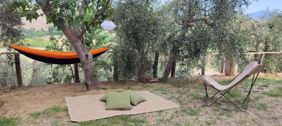Agriturismo Biofattoria L'Upupa Montalcino Kültér fotó