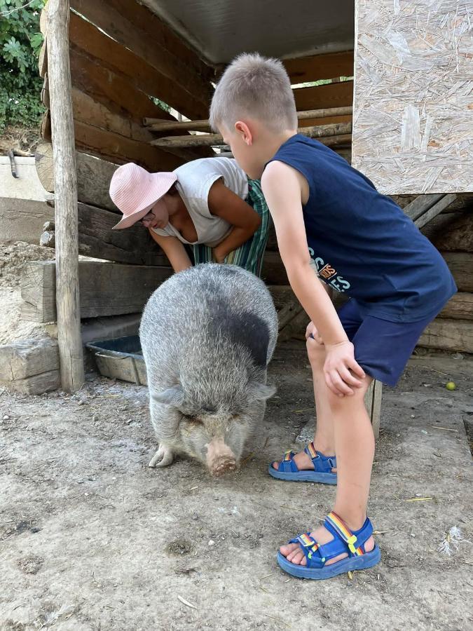 Agriturismo Biofattoria L'Upupa Montalcino Kültér fotó