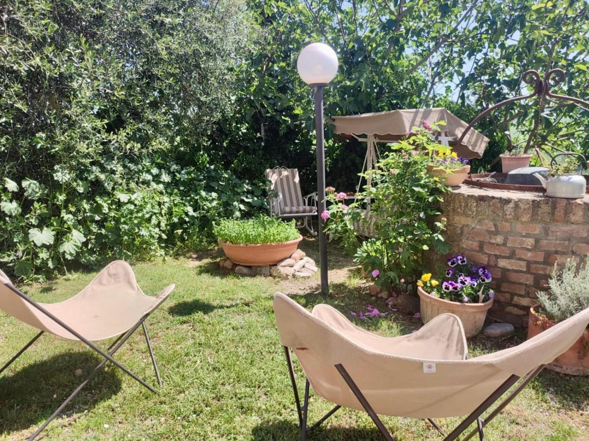 Agriturismo Biofattoria L'Upupa Montalcino Kültér fotó