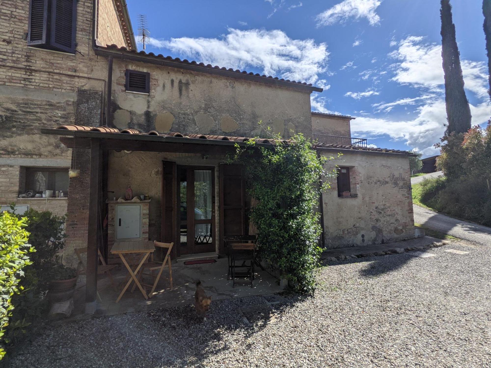 Agriturismo Biofattoria L'Upupa Montalcino Kültér fotó