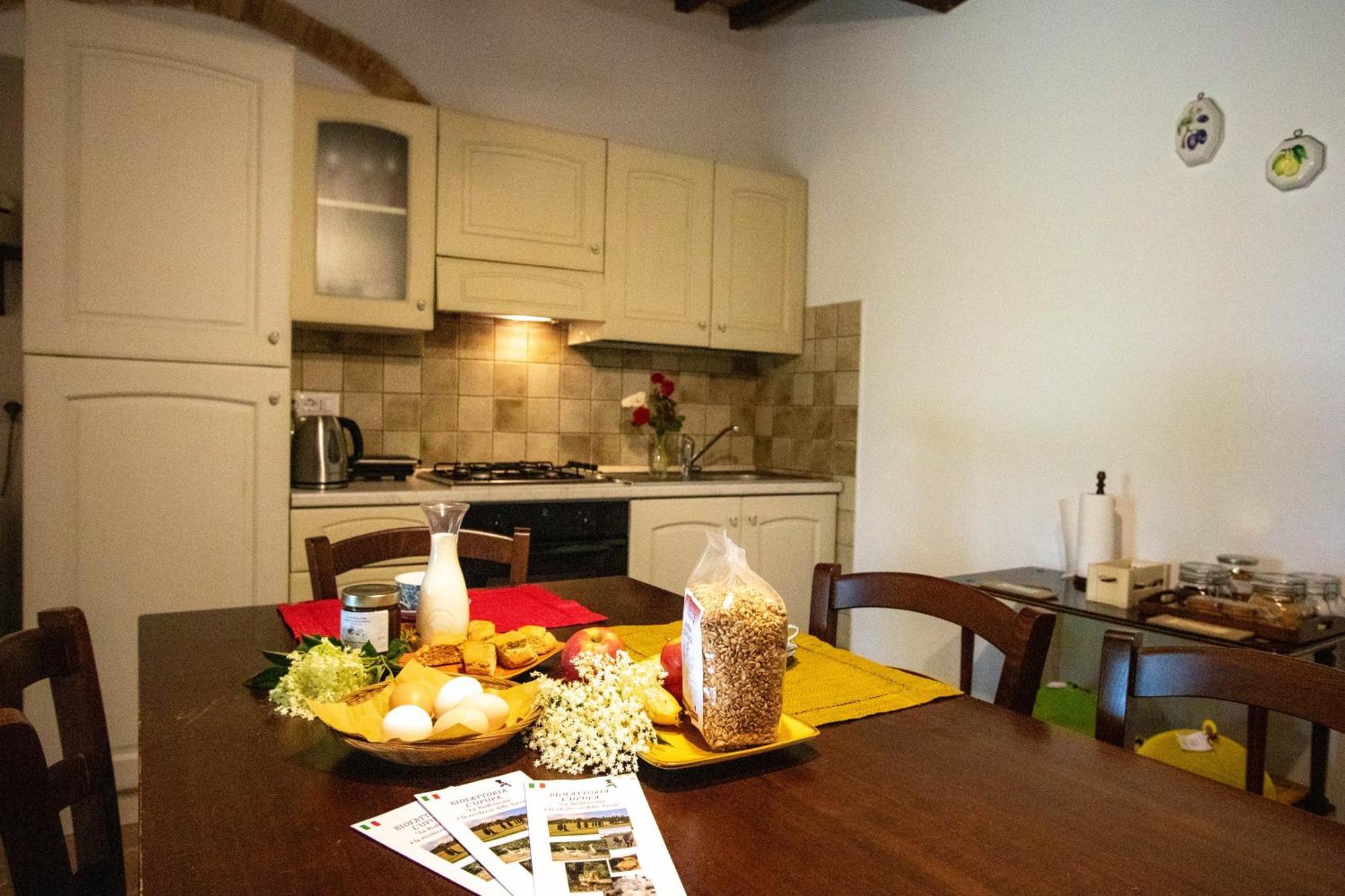 Agriturismo Biofattoria L'Upupa Montalcino Kültér fotó
