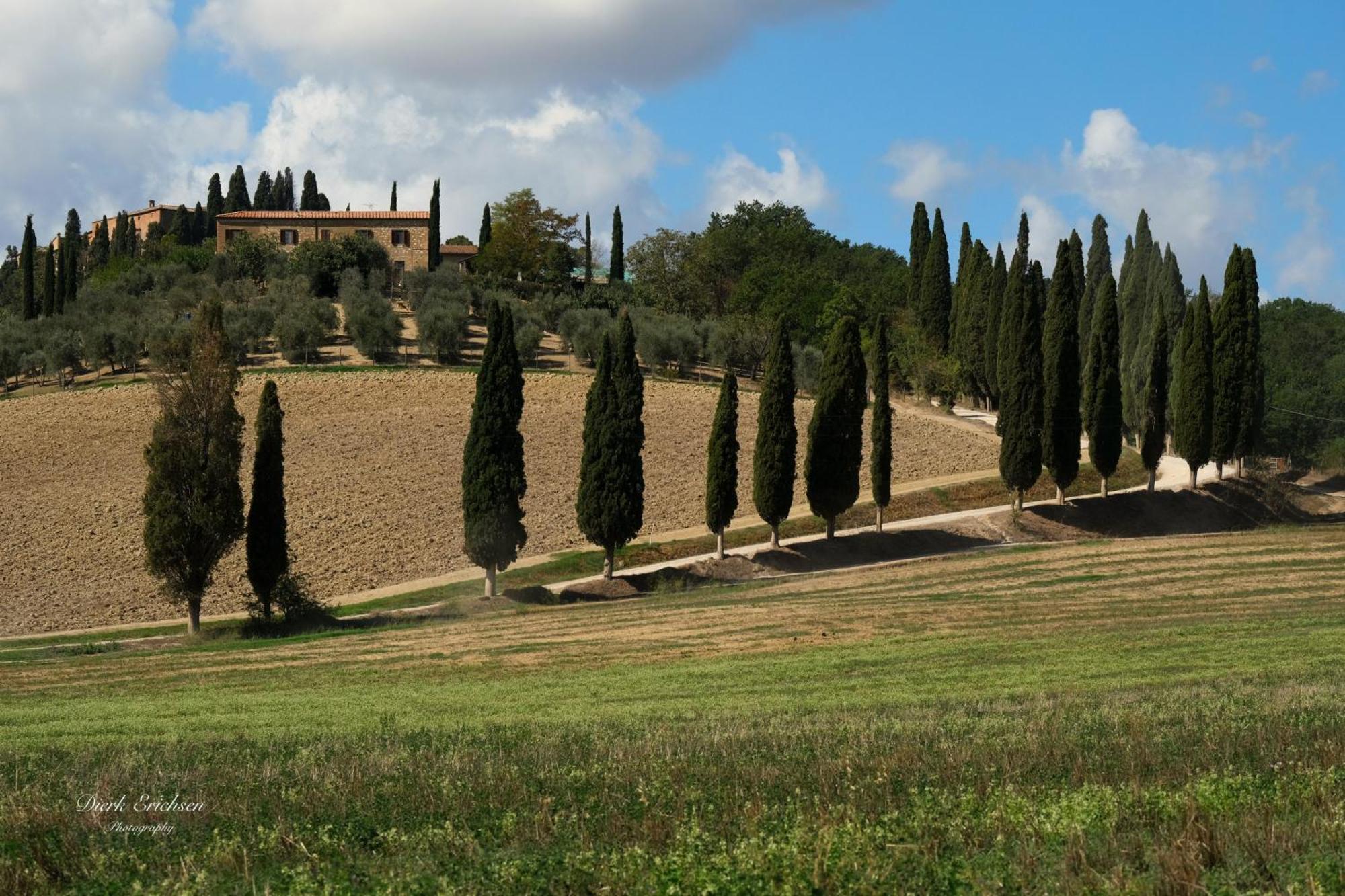 Agriturismo Biofattoria L'Upupa Montalcino Kültér fotó