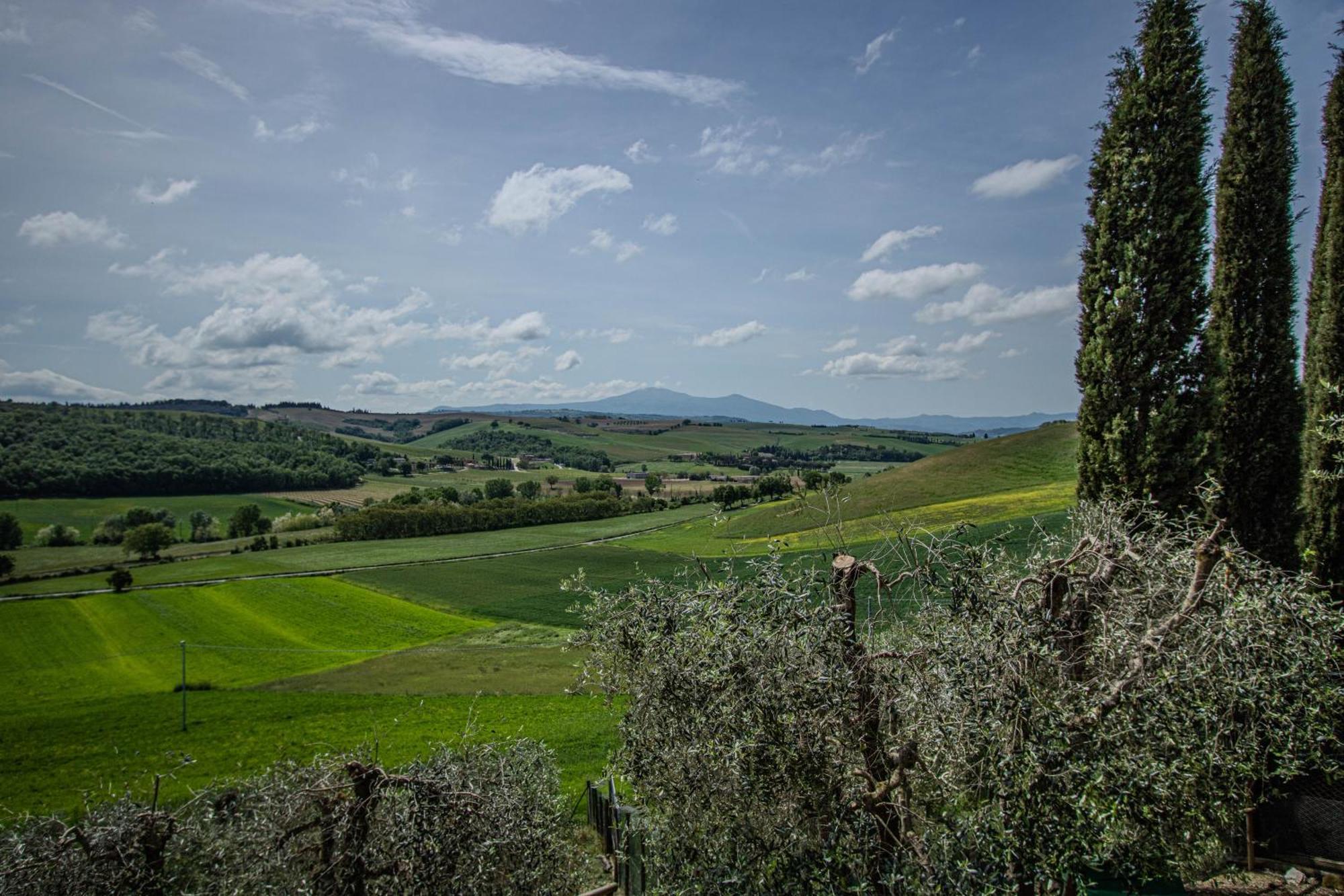 Agriturismo Biofattoria L'Upupa Montalcino Kültér fotó