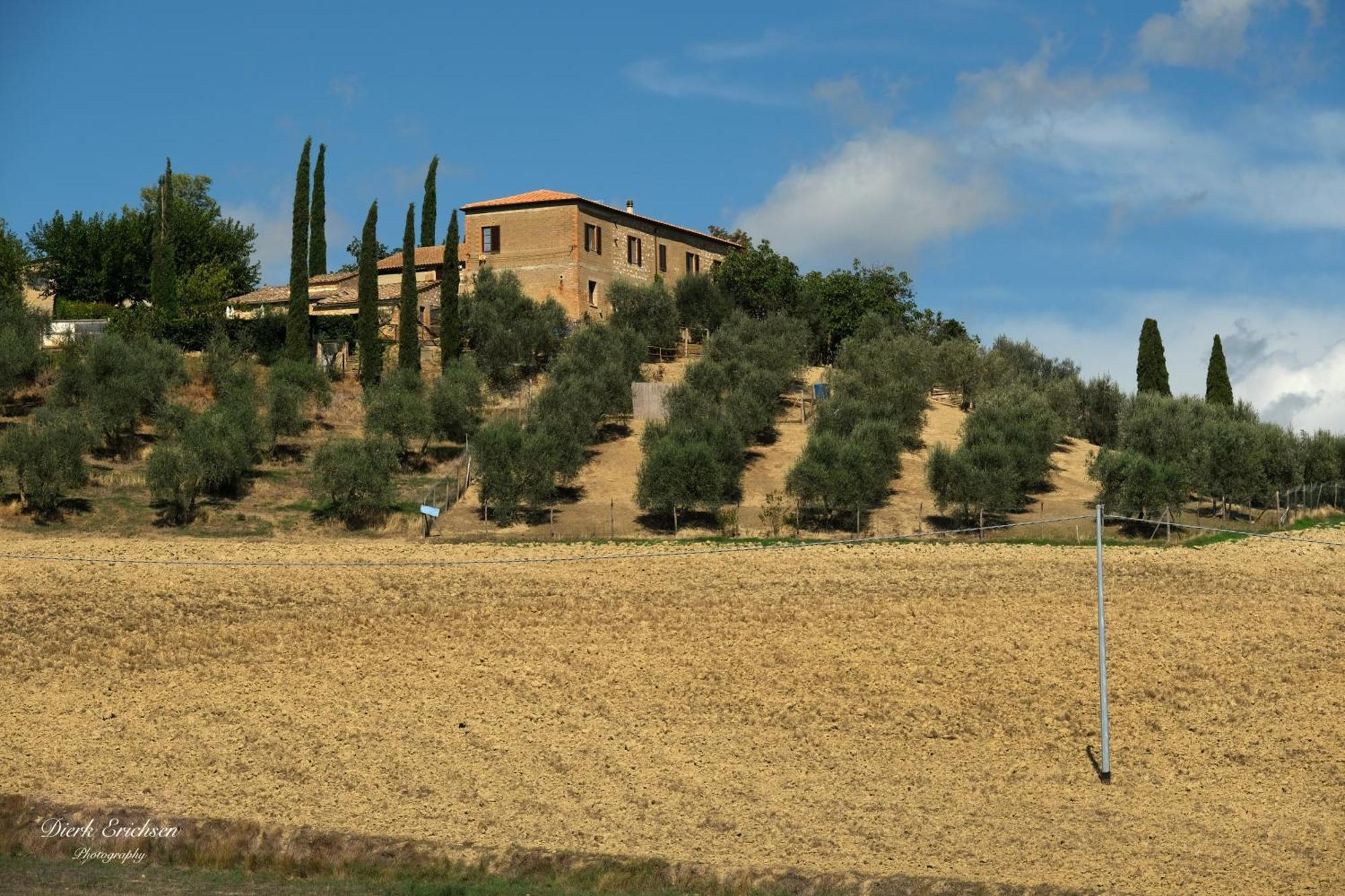 Agriturismo Biofattoria L'Upupa Montalcino Kültér fotó