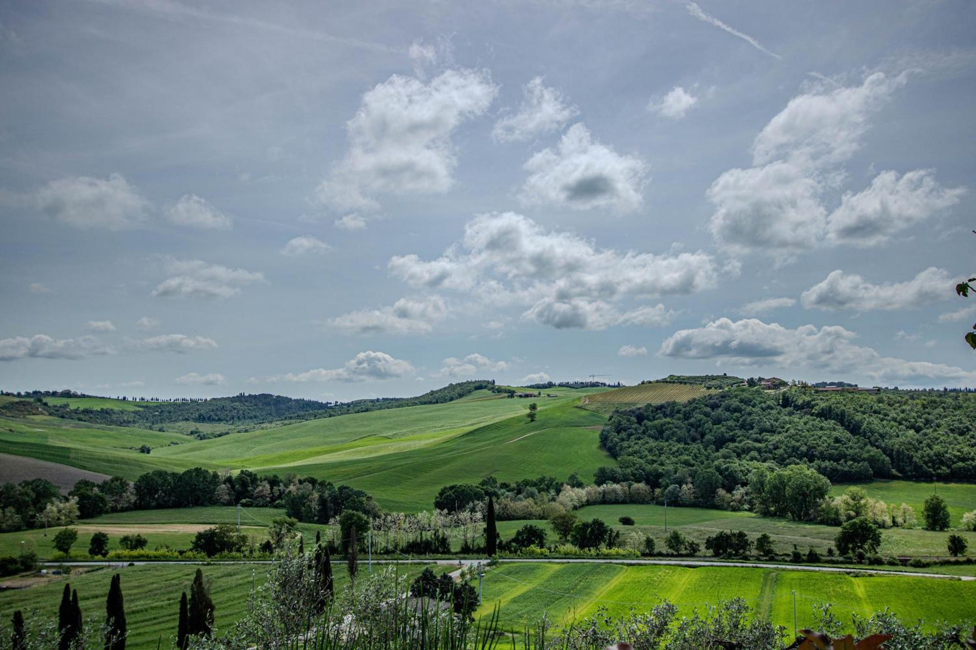 Agriturismo Biofattoria L'Upupa Montalcino Kültér fotó