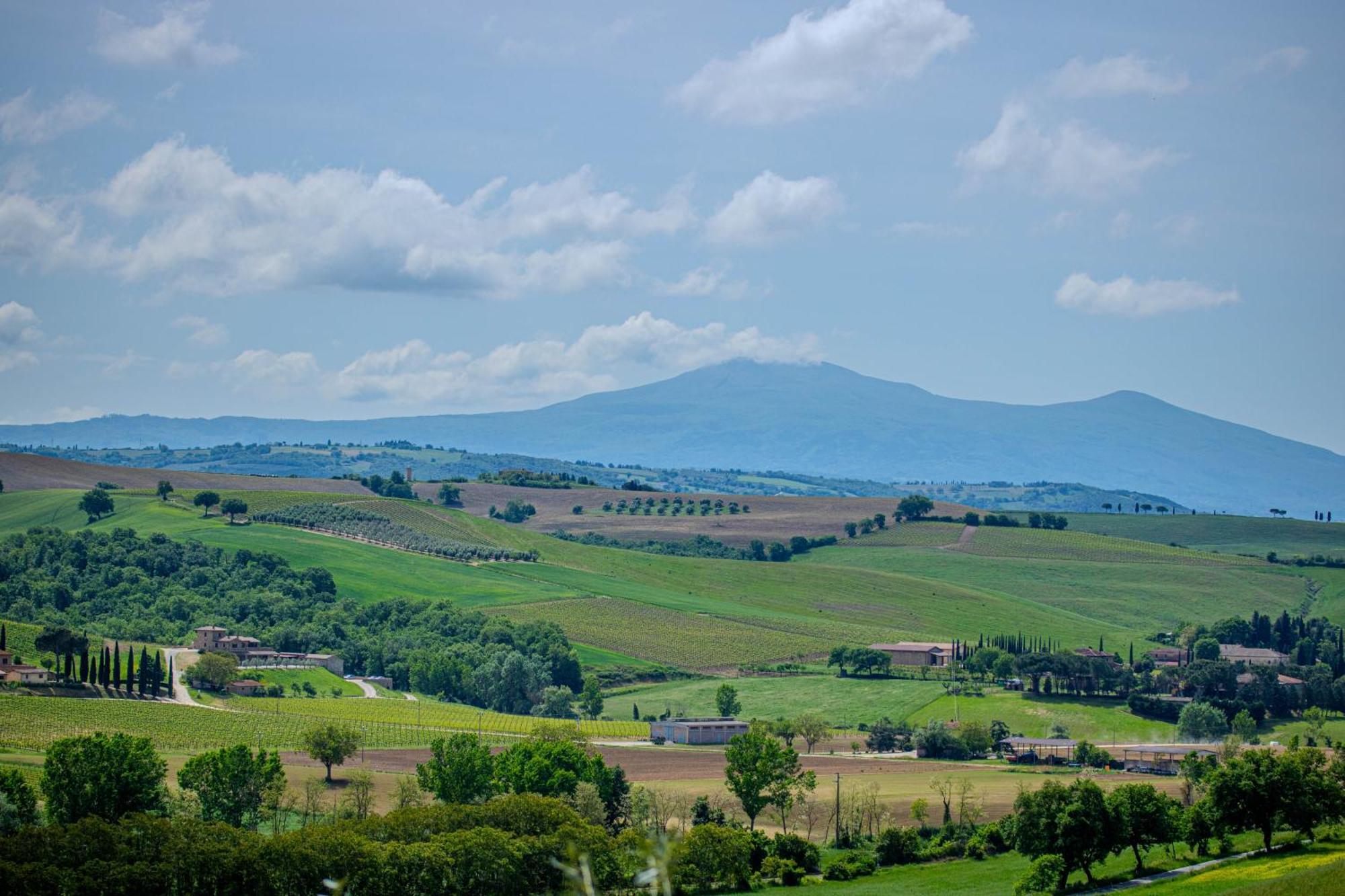 Agriturismo Biofattoria L'Upupa Montalcino Kültér fotó