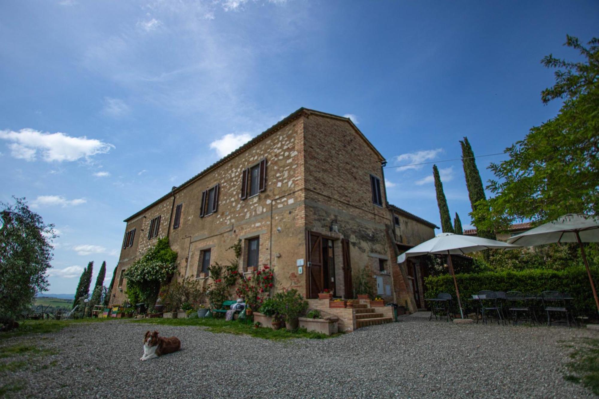 Agriturismo Biofattoria L'Upupa Montalcino Kültér fotó